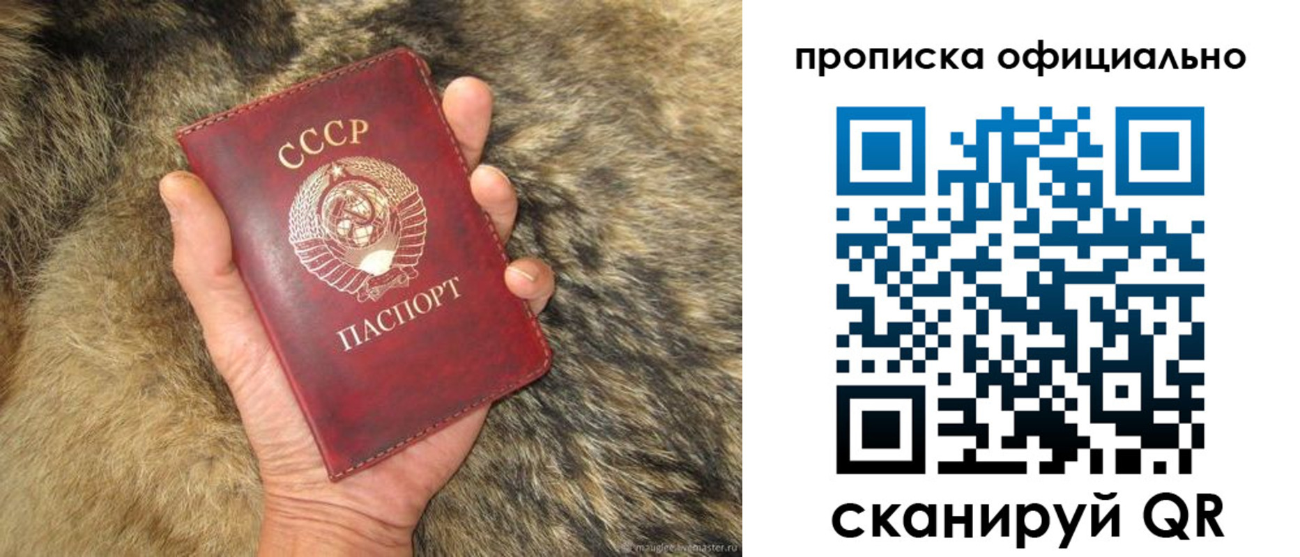 купить прописку в Балабаново